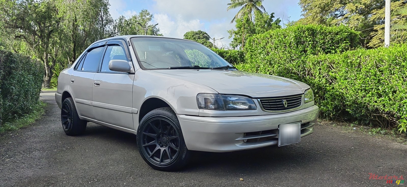 2000' Toyota Corolla photo #1