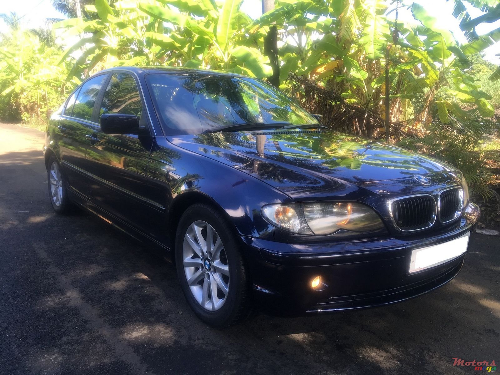 2004' BMW 318i photo #1