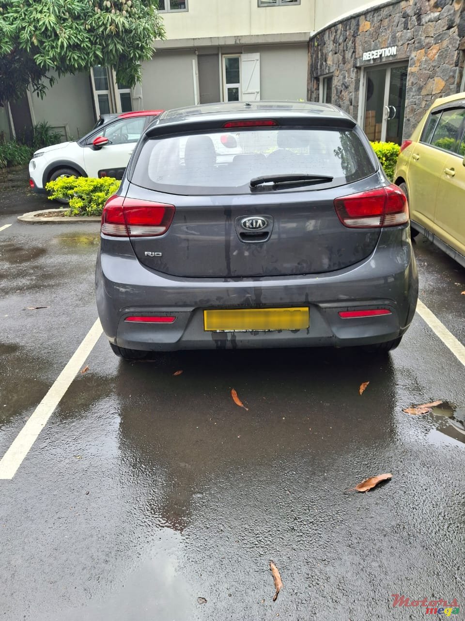 2020' Kia Rio photo #4