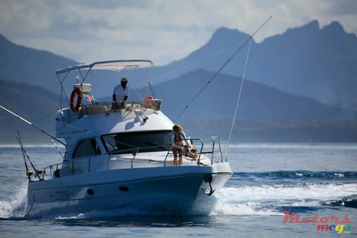 2009' Leopard photo #3