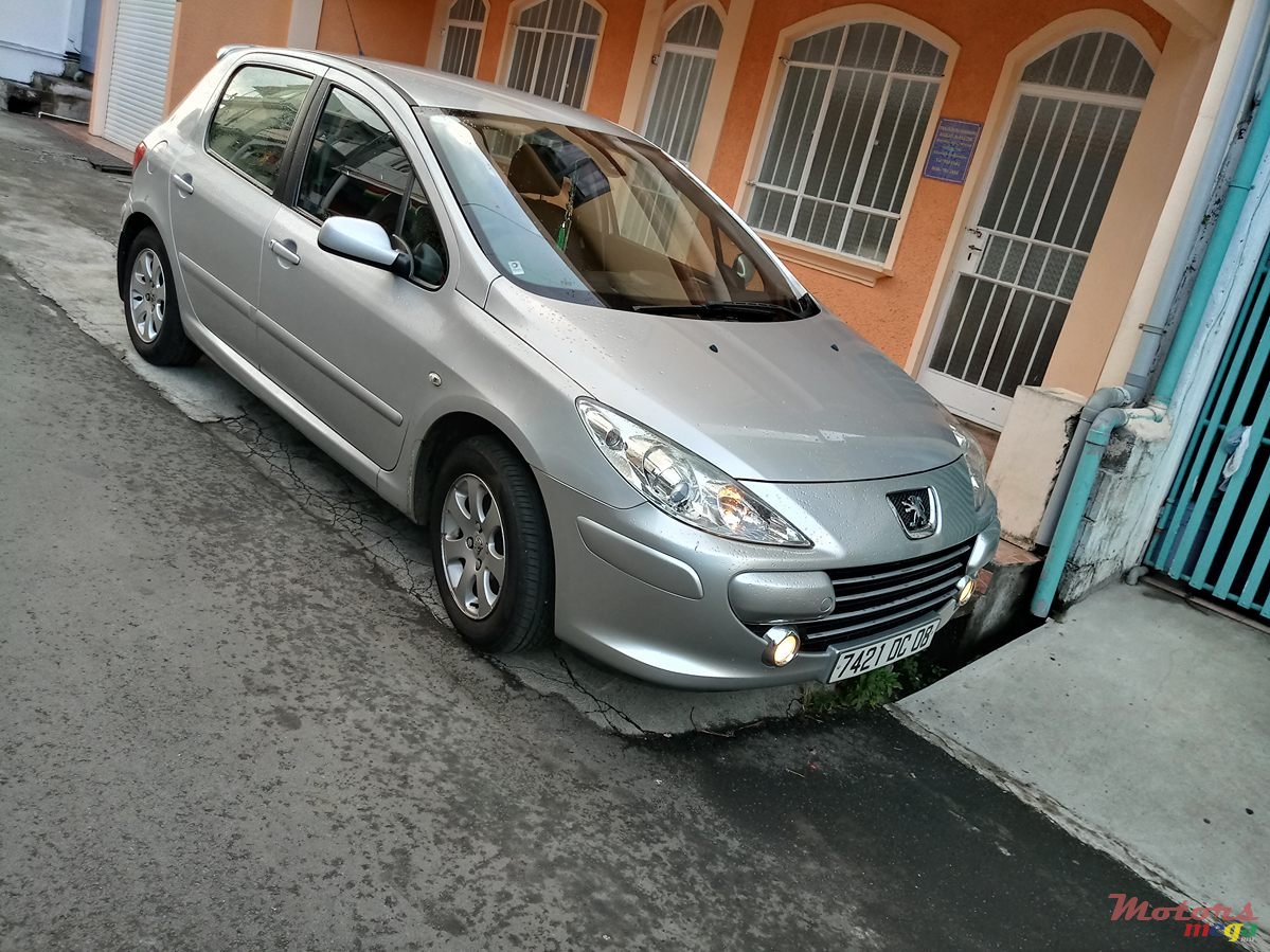 2008' Peugeot 307 dorigine photo #2