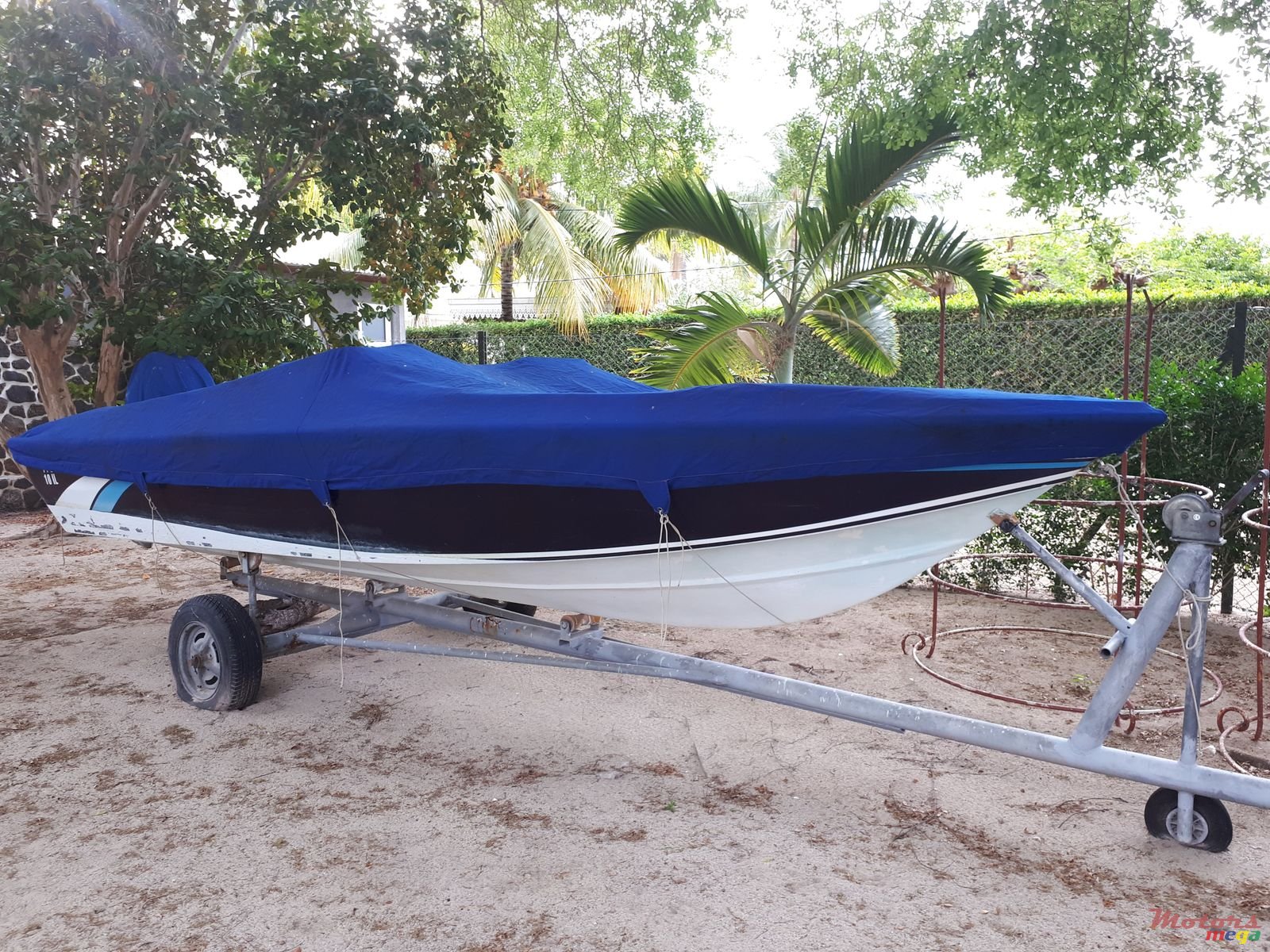 1999' Cobra photo #1