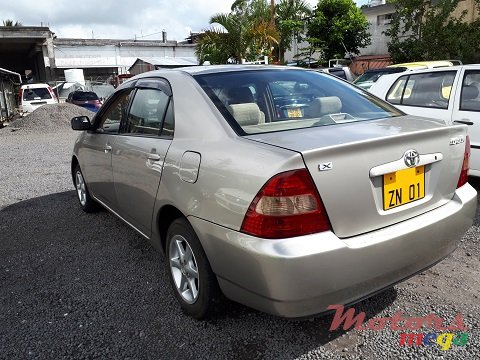 2001' Toyota NZE photo #5