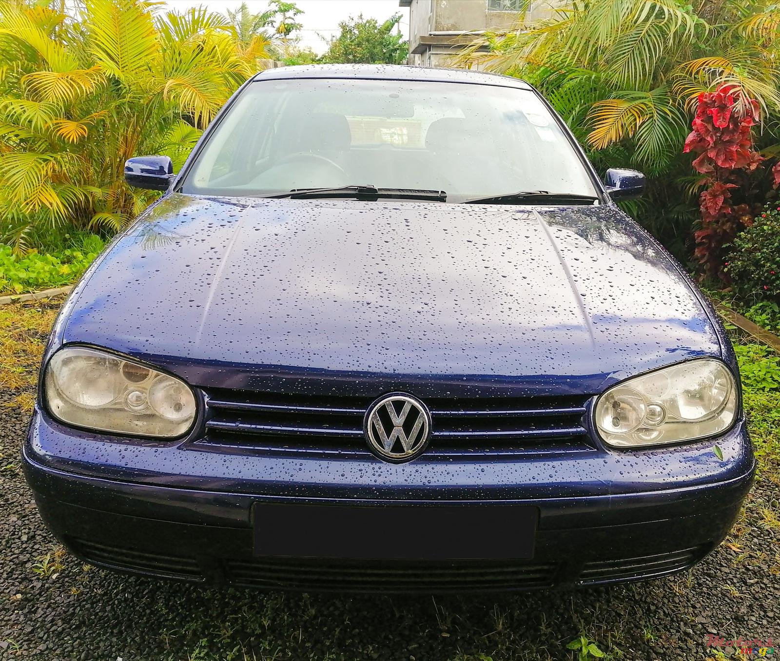 2001' Volkswagen Golf IV photo #4