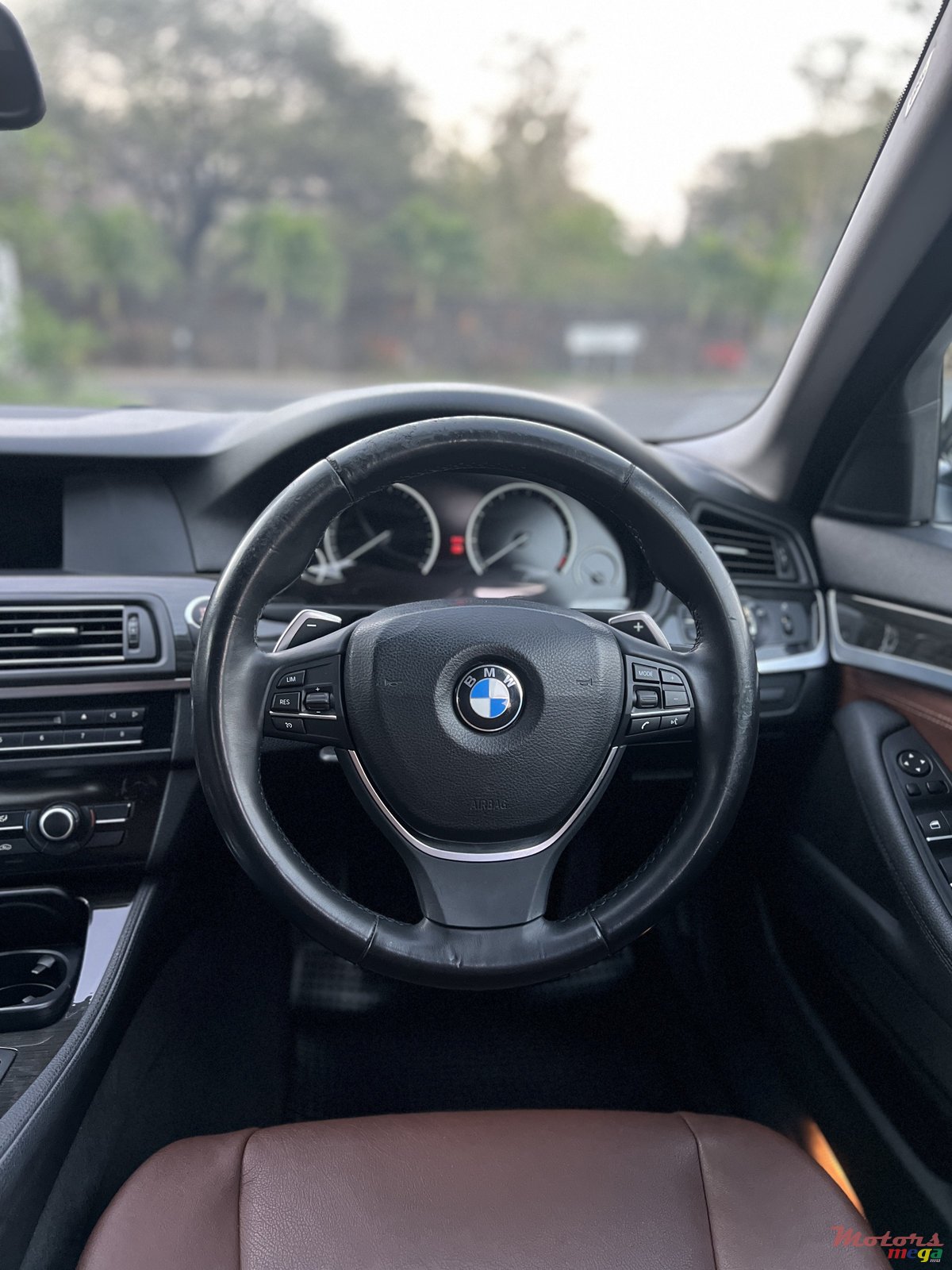 2013' BMW 520 photo #6