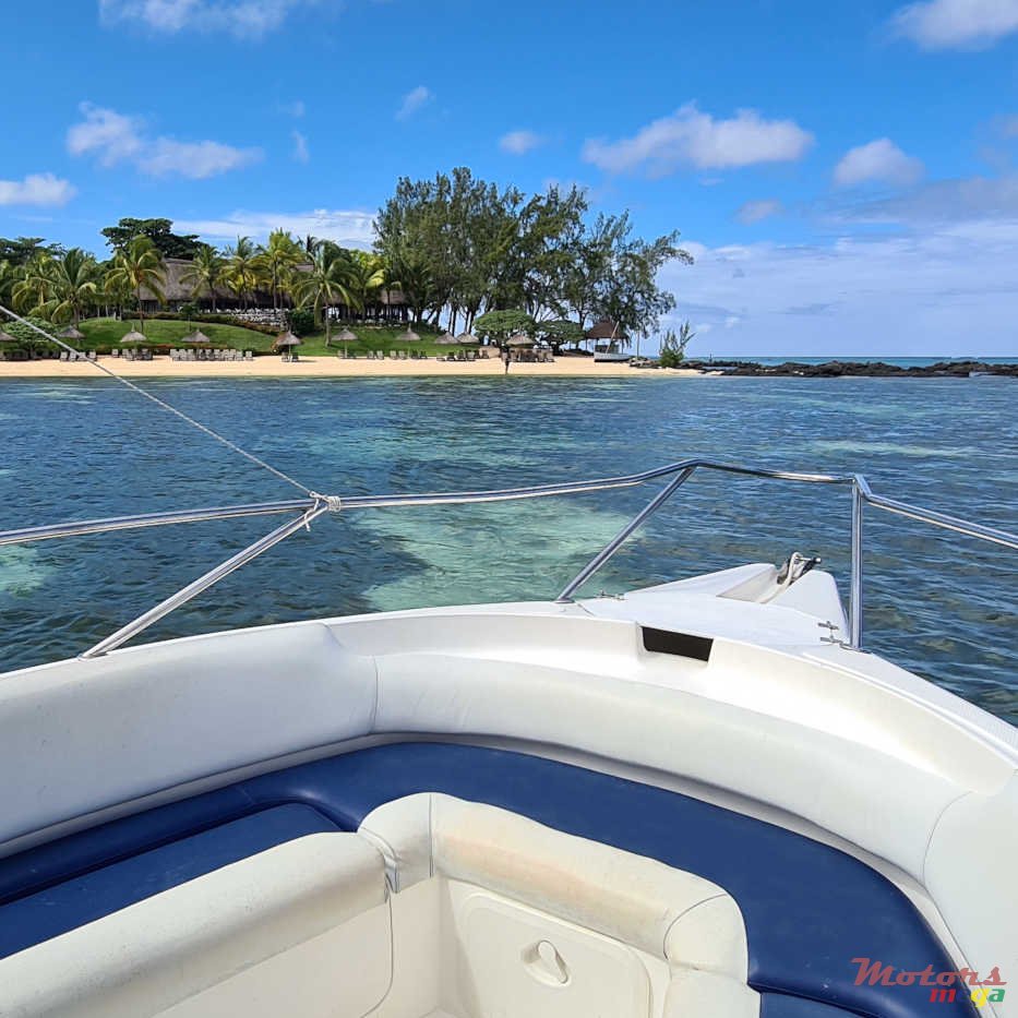 2011' Legend OV CC 28 photo #7