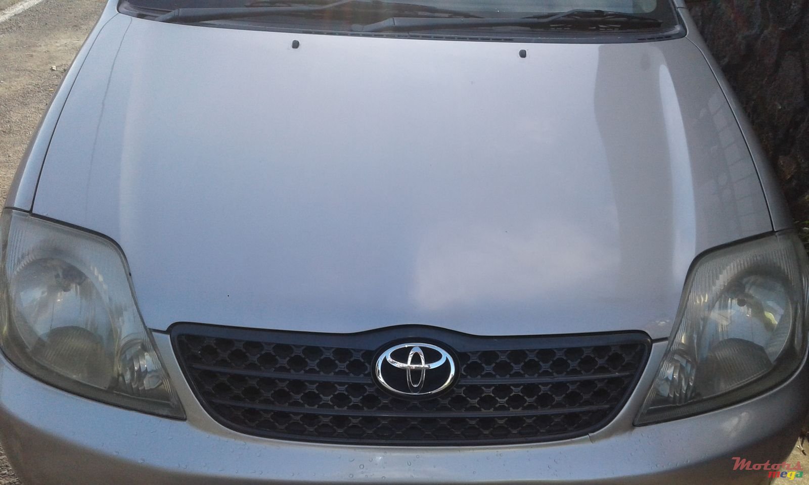 2001' Toyota Corolla photo #1