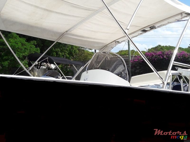 2010' Pro Sport photo #4