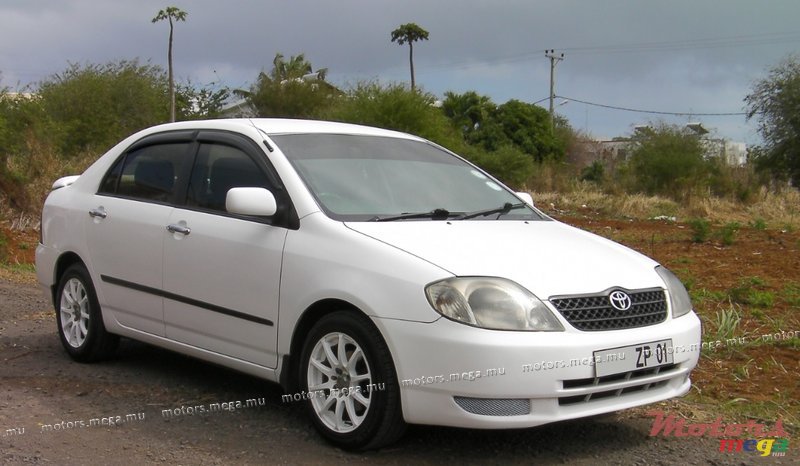 2001' Toyota NZE XLI photo #1
