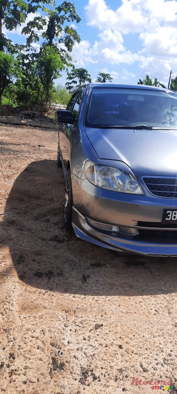 2002' Toyota Corolla Nze121 photo #6