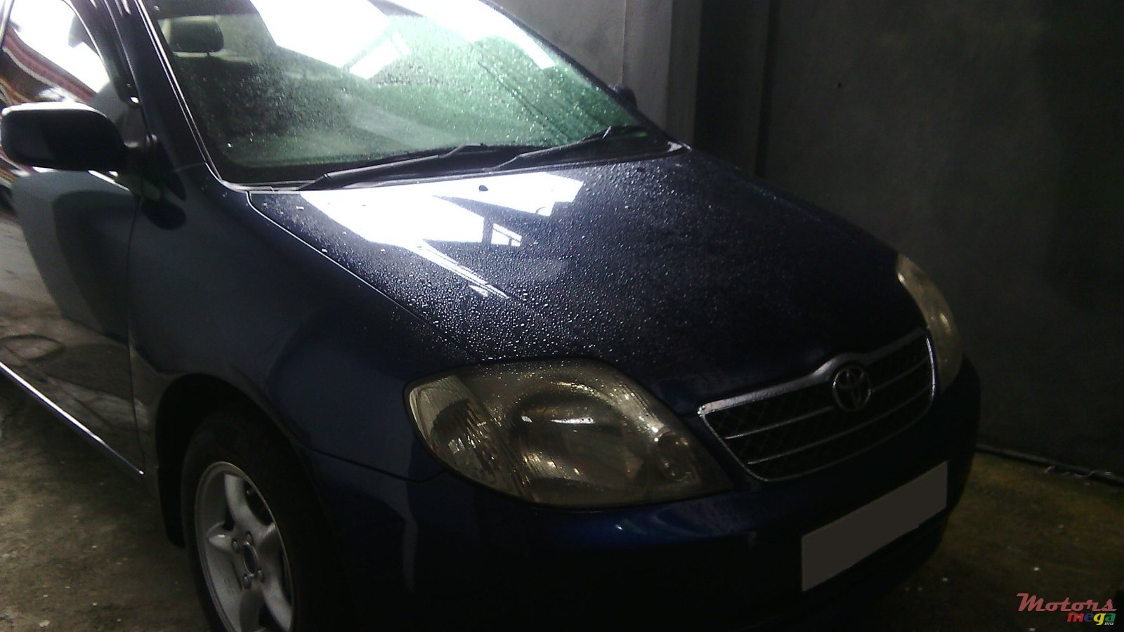 2002' Toyota Corolla photo #1