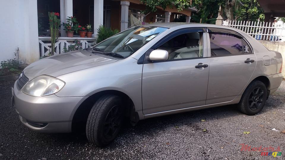 2001' Toyota Corolla NZE photo #4