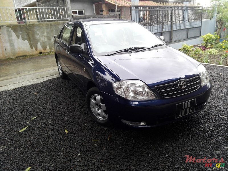 2004' Toyota Corolla NZE photo #1