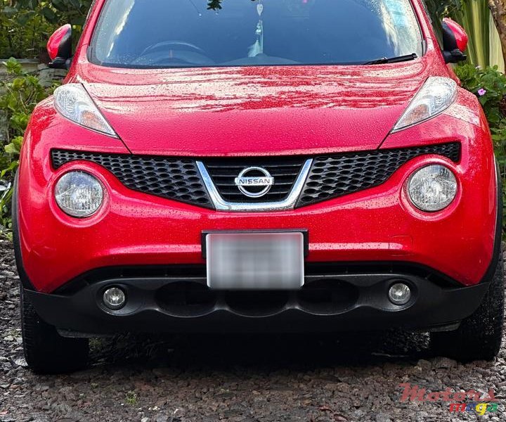 2013' Nissan Juke photo #1