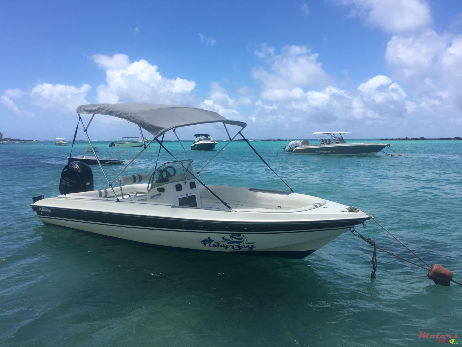 2012' Cobra photo #7