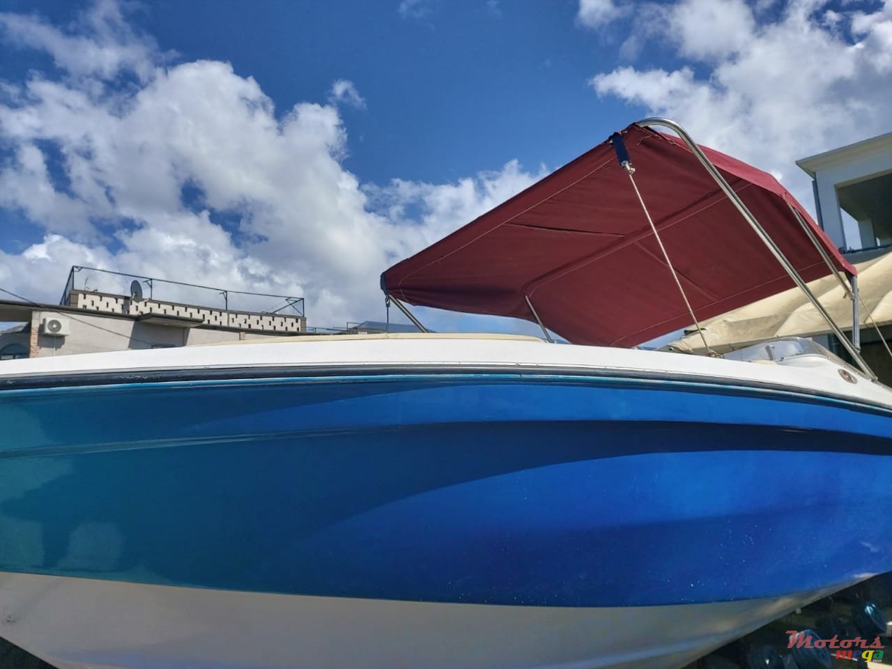 2008' Cobra photo #1