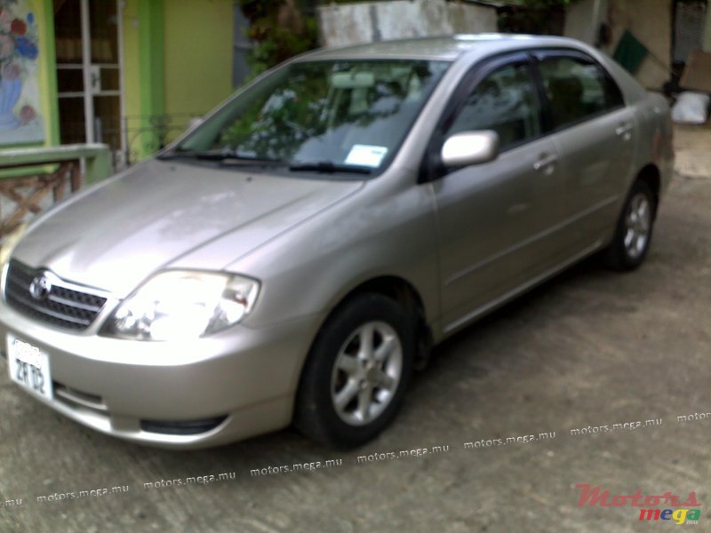 2002' Toyota Corolla NZE photo #1