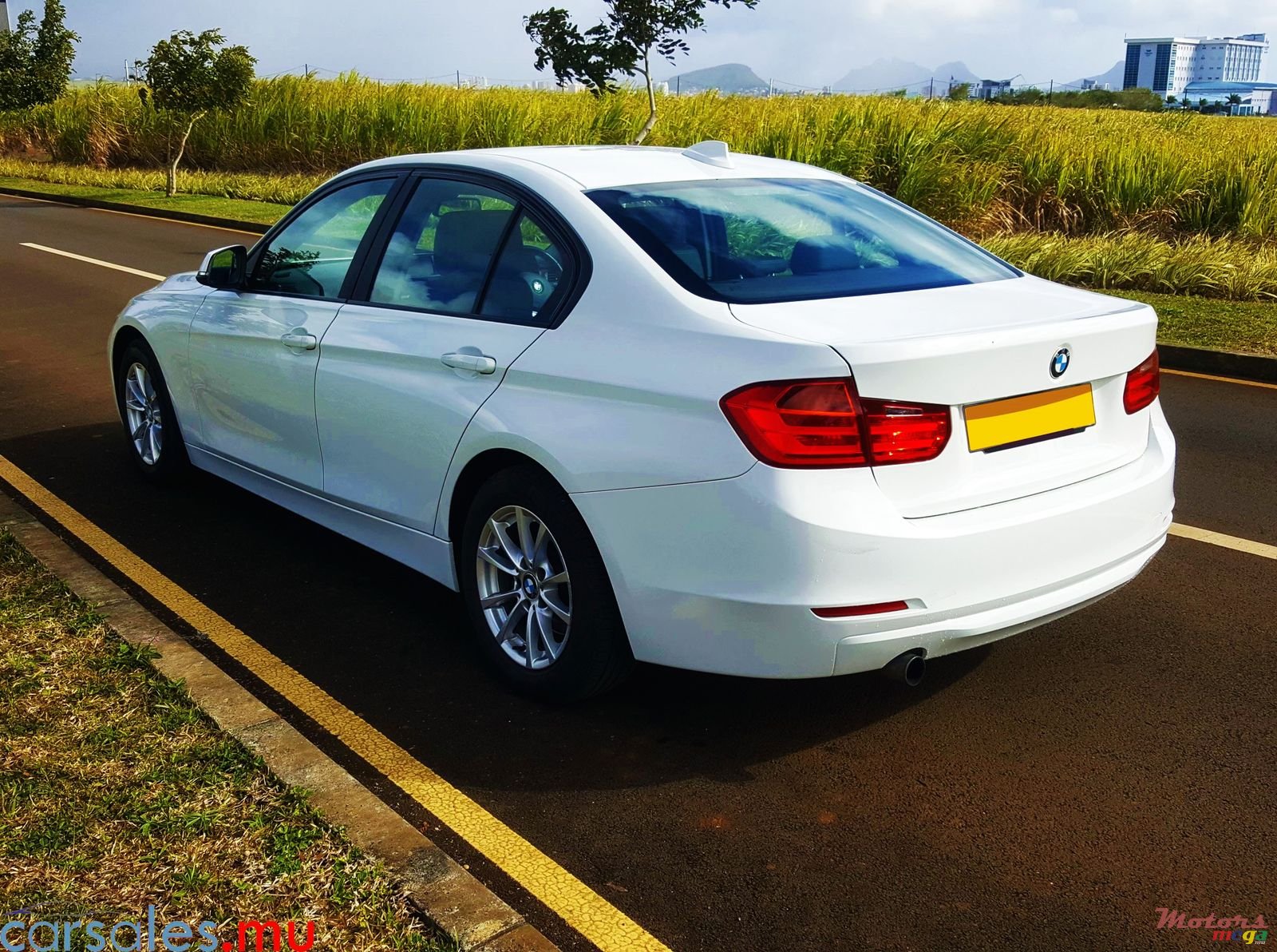 2013' BMW 316 i photo #4