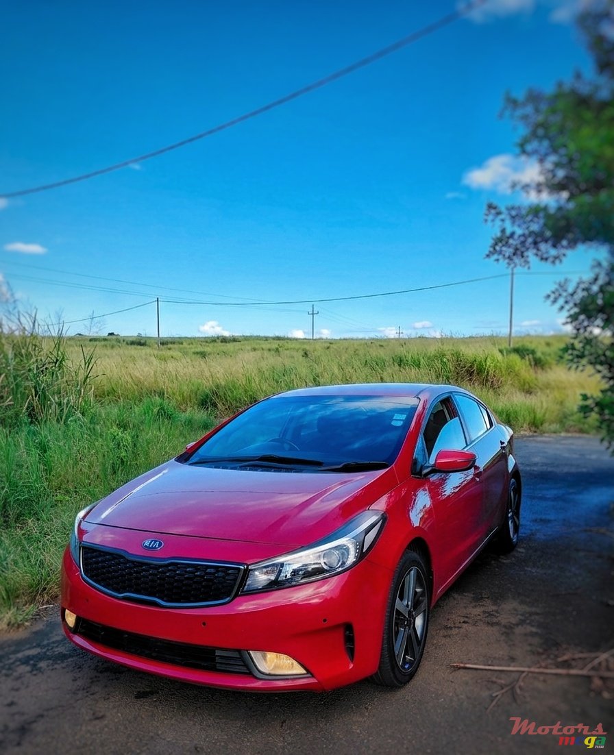 2018' Kia All opt photo #1