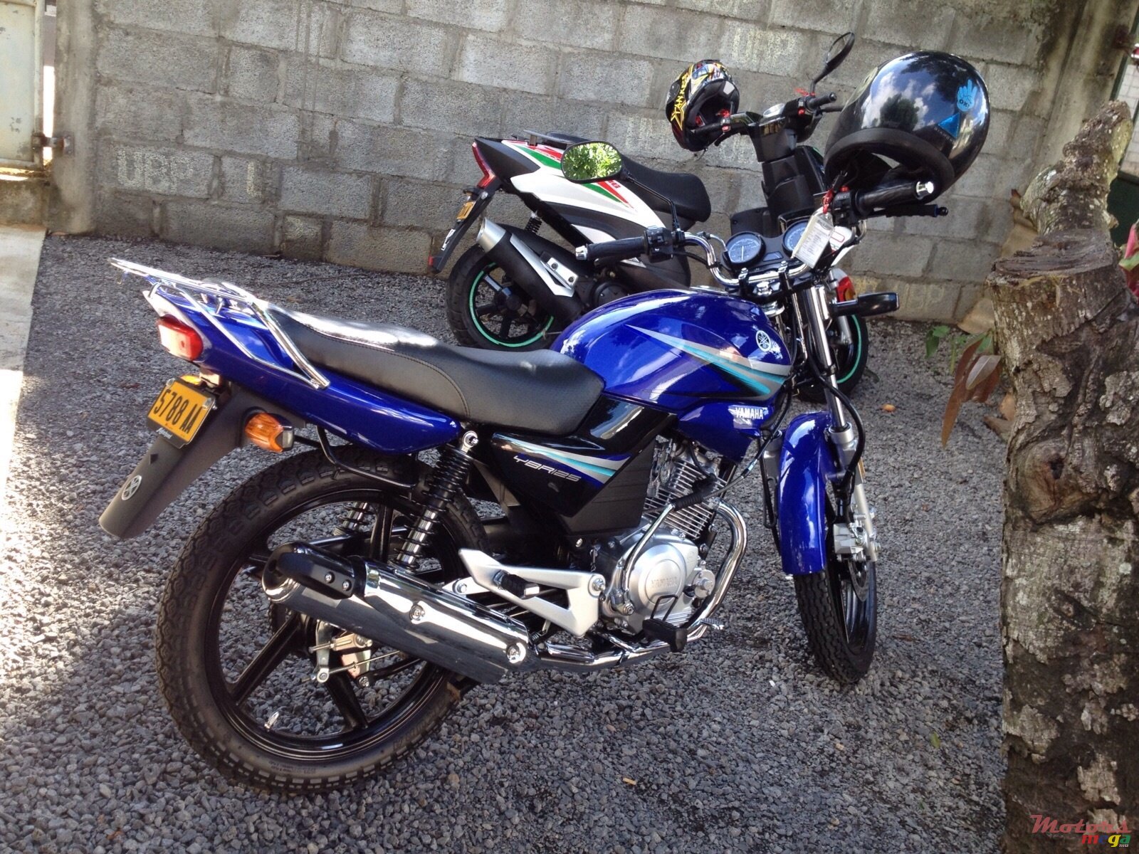 2015' Yamaha YBR photo #1