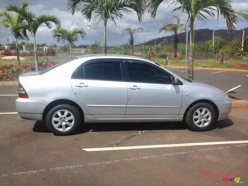 2003' Toyota Corolla photo #1