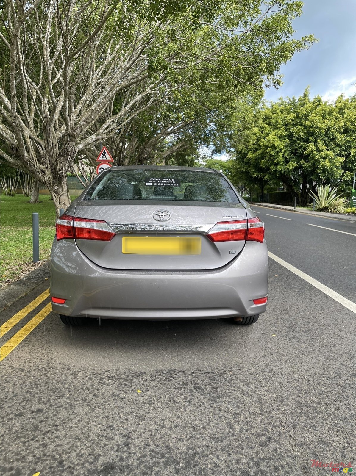 2019' Toyota Corolla photo #2