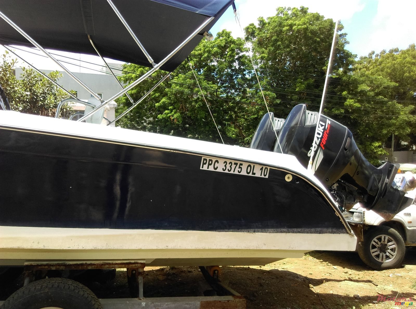 2009' Cobra photo #5