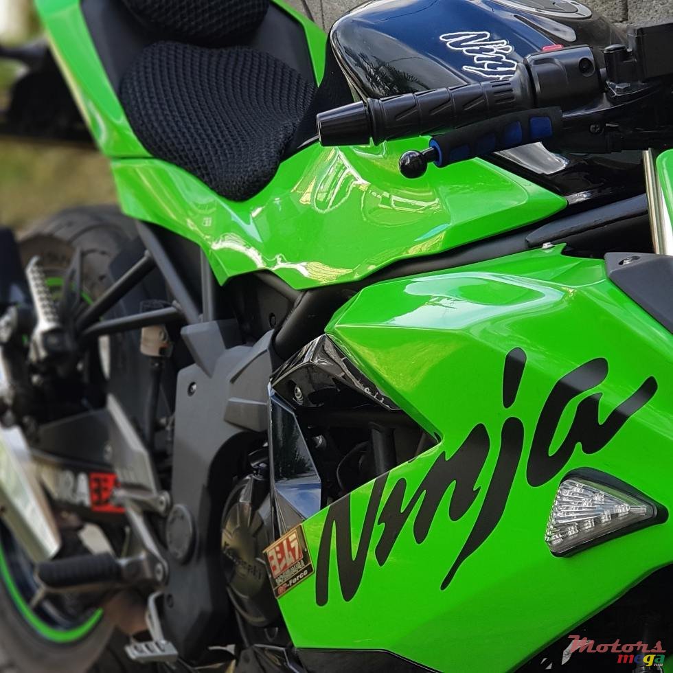 2015' Kawasaki photo #3