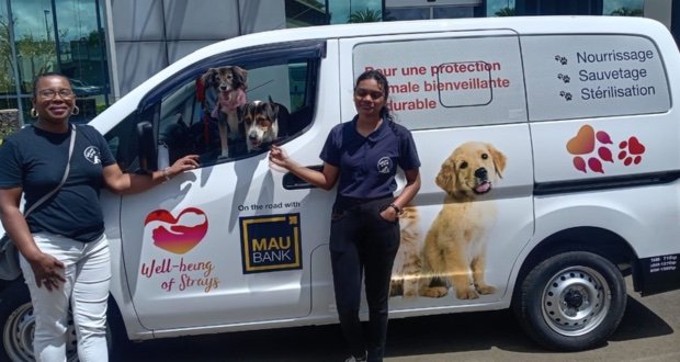 Bien-être animal, Sur la route du sauvetage : le rêve de Well-being of Strays enfin réalisé