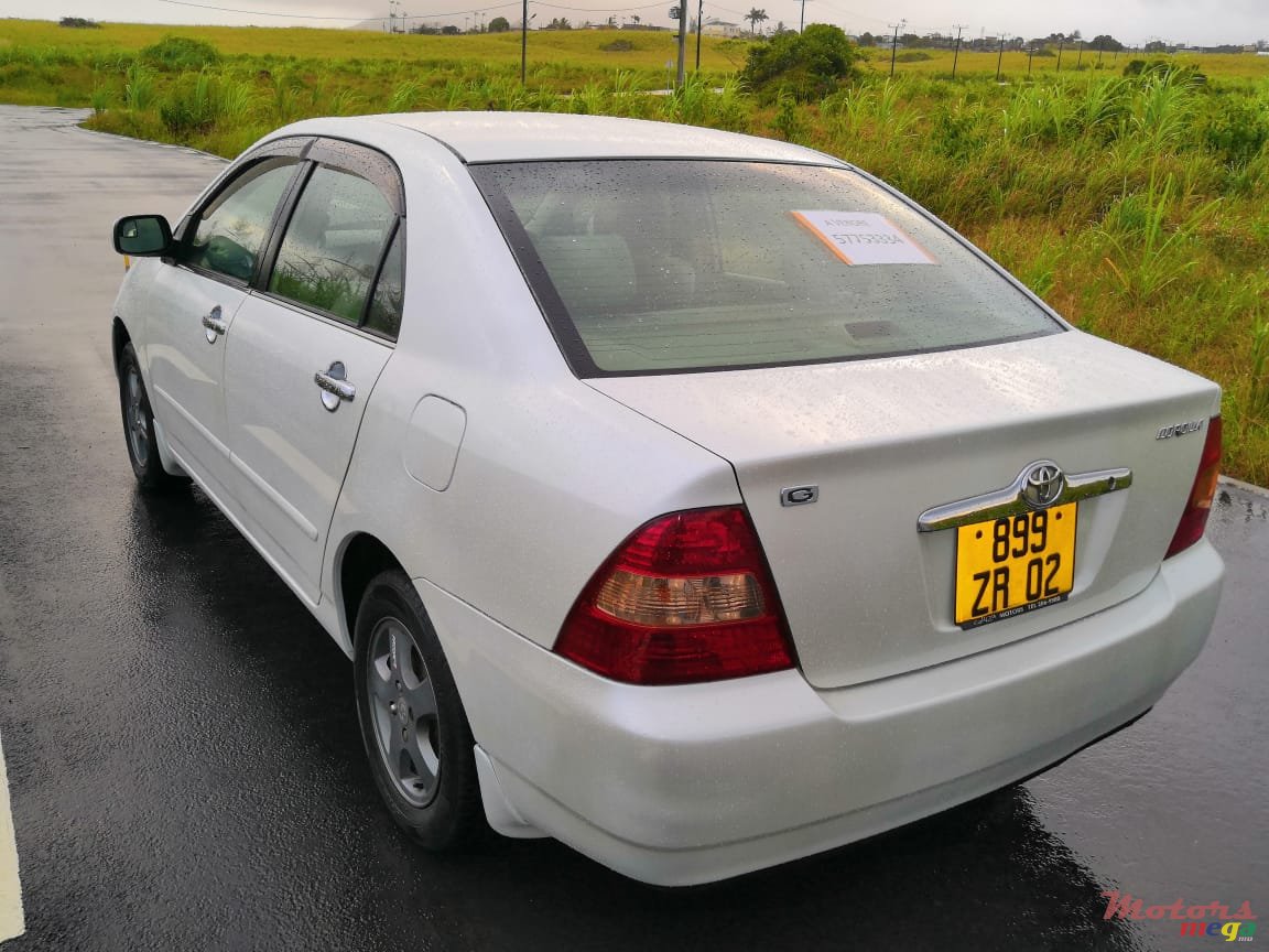 2002' Toyota Corolla Nze G edition photo #2