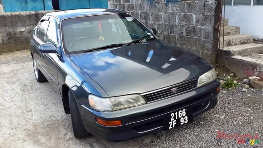 1993' Toyota Corolla Ee101 photo #1