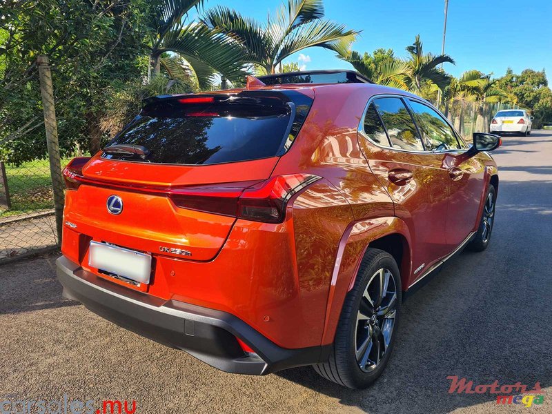 2021' Lexus UX 250h AWD photo #6