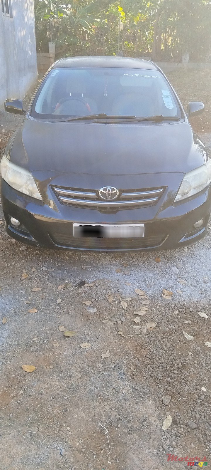 2008' Toyota Corolla photo #1