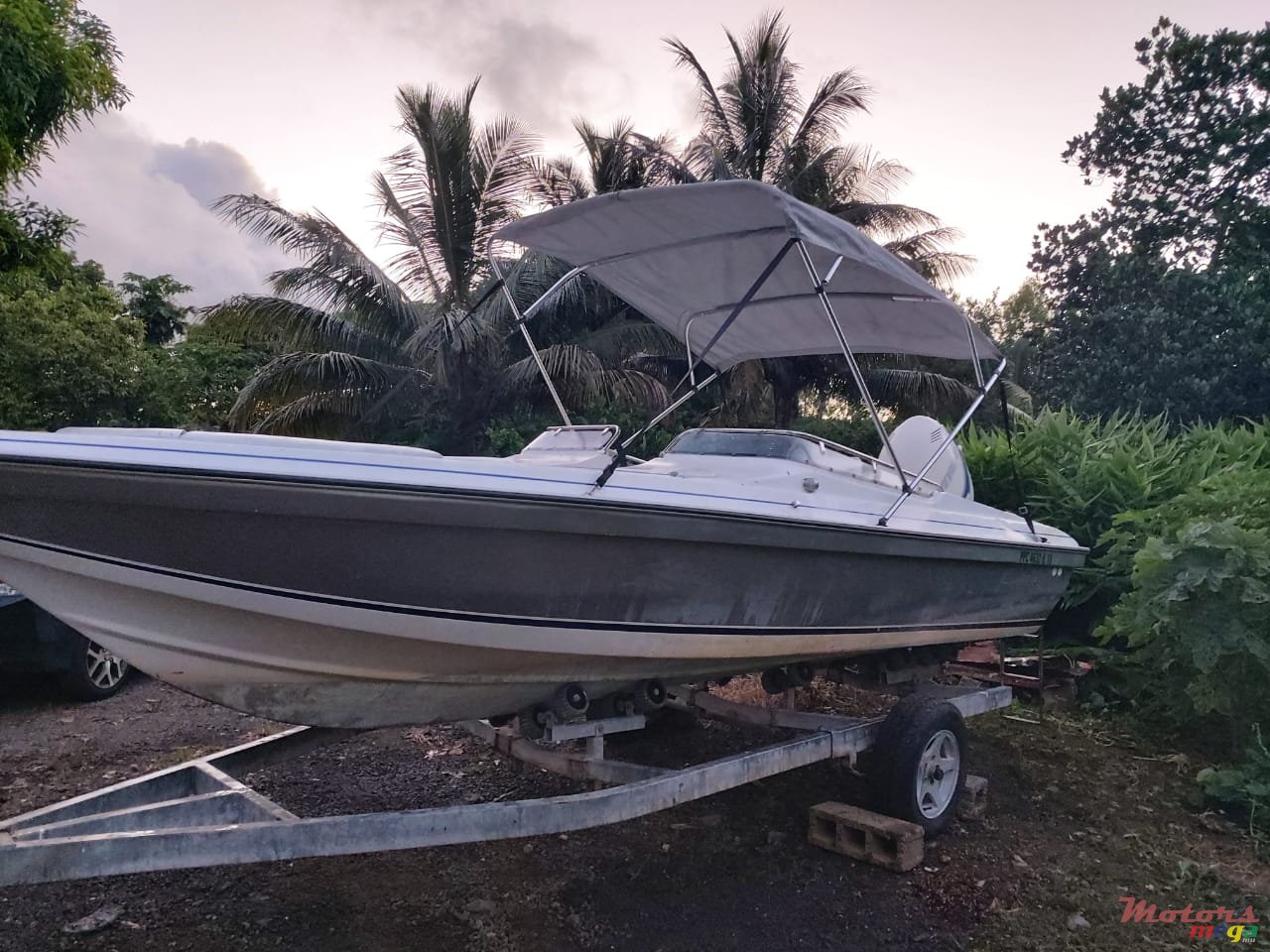 2008' Evinrude photo #1