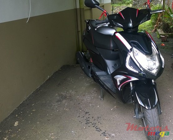 2015' Easy Rider photo #3