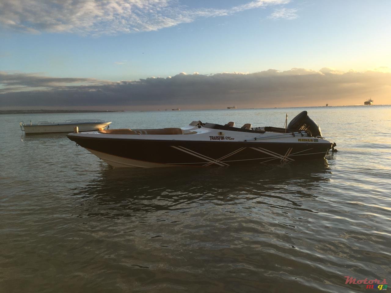 2006' Cobra photo #4