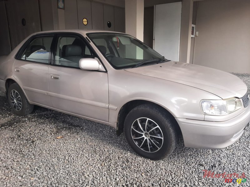 1999' Toyota Corolla photo #2