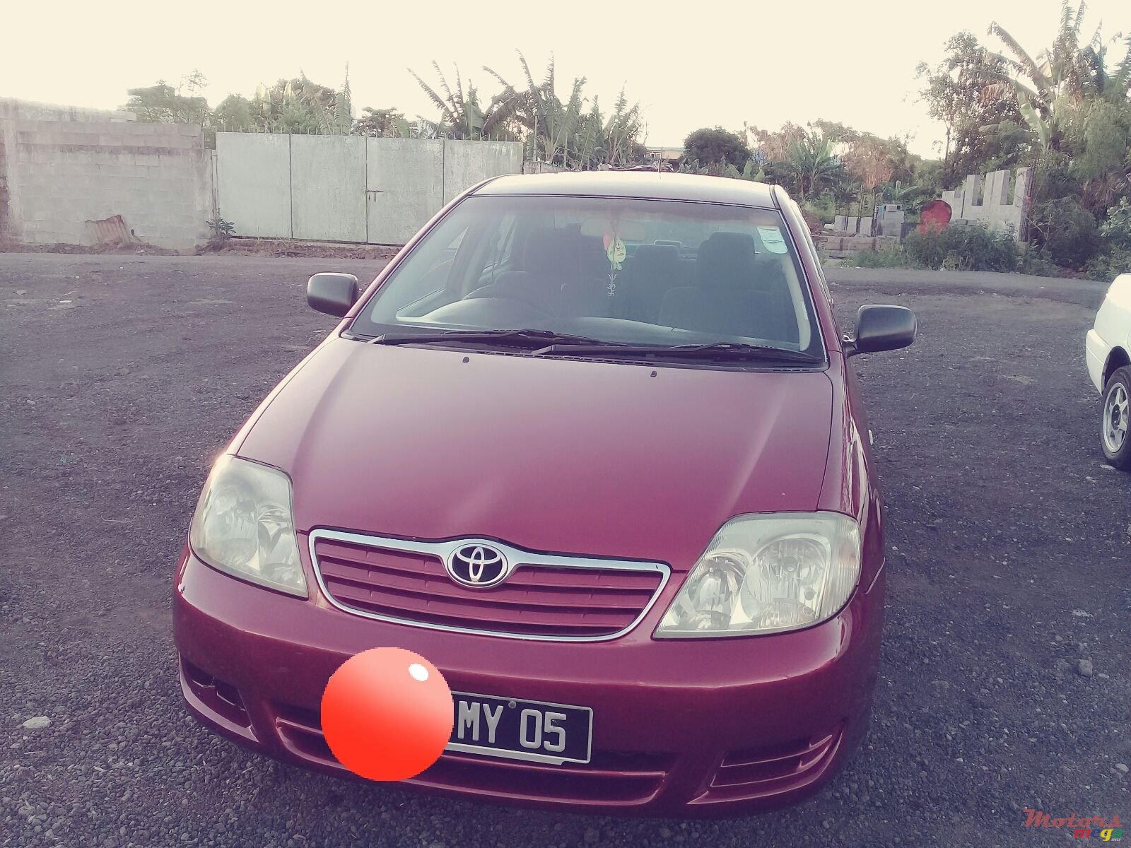 2005' Toyota Corolla NZE photo #2