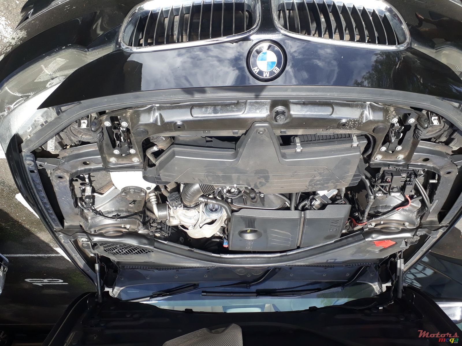 2013' BMW 316 photo #3