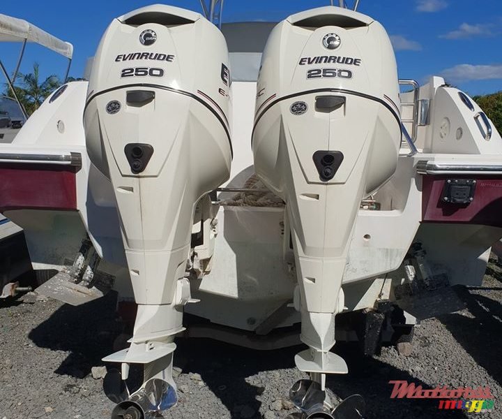 2012' Alena photo #2