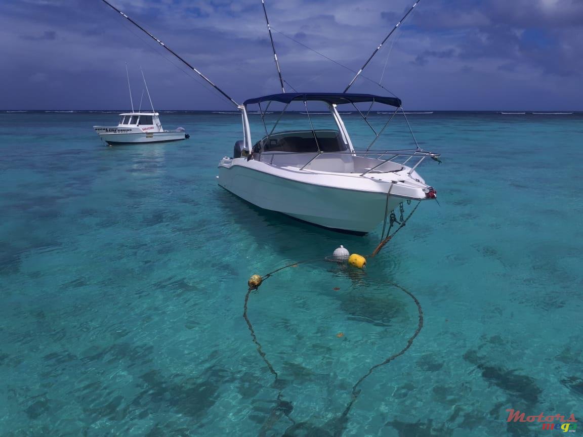 2020' Legend photo #4