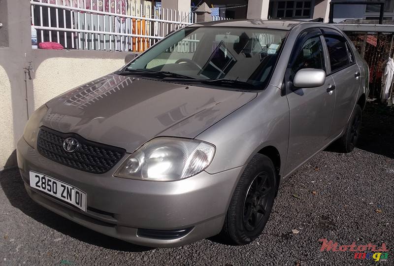 2001' Toyota Corolla NZE photo #2