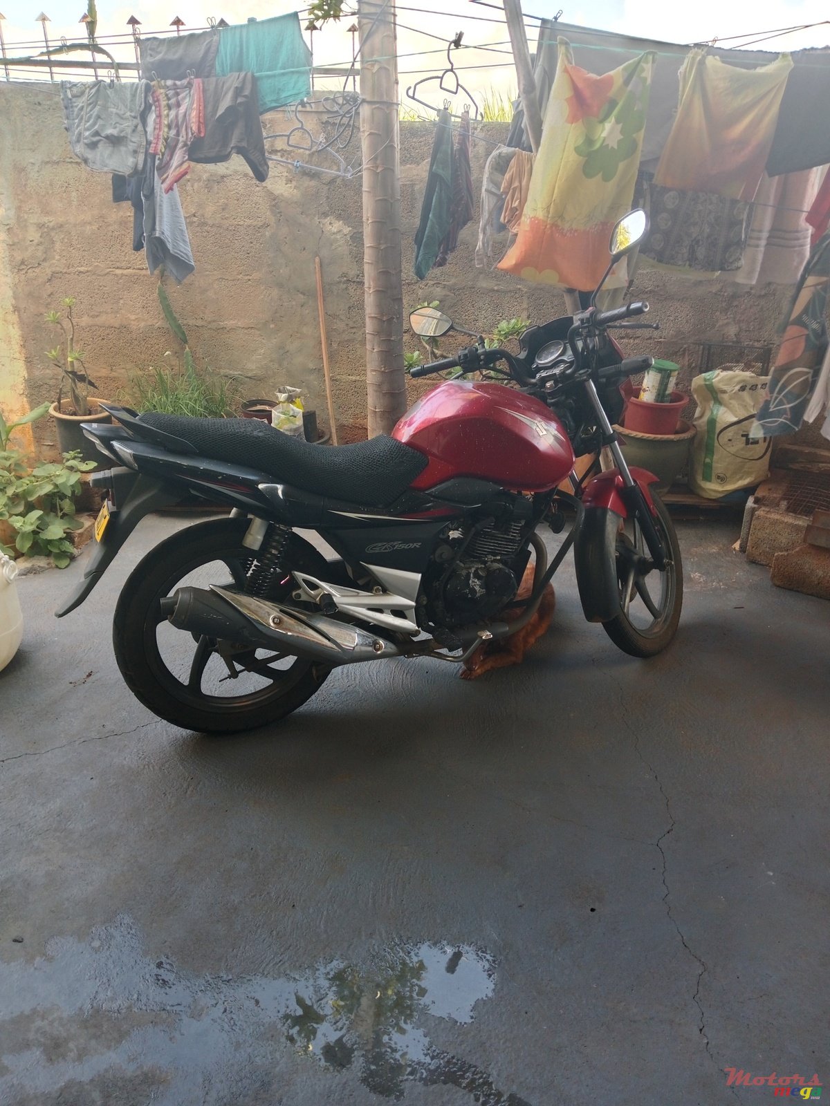 2014' Suzuki photo #2