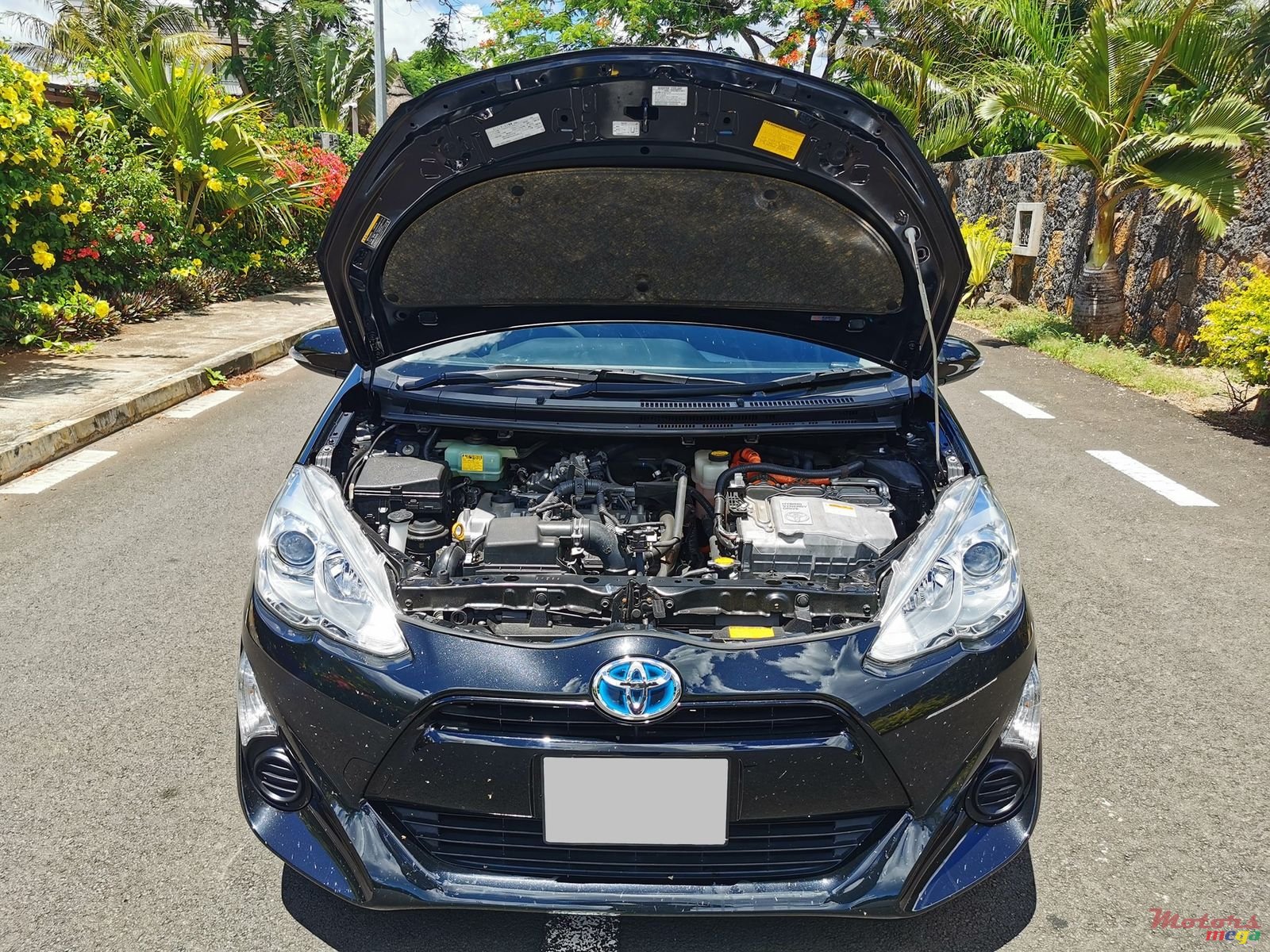 2015' Toyota Aqua Hybrid photo #5