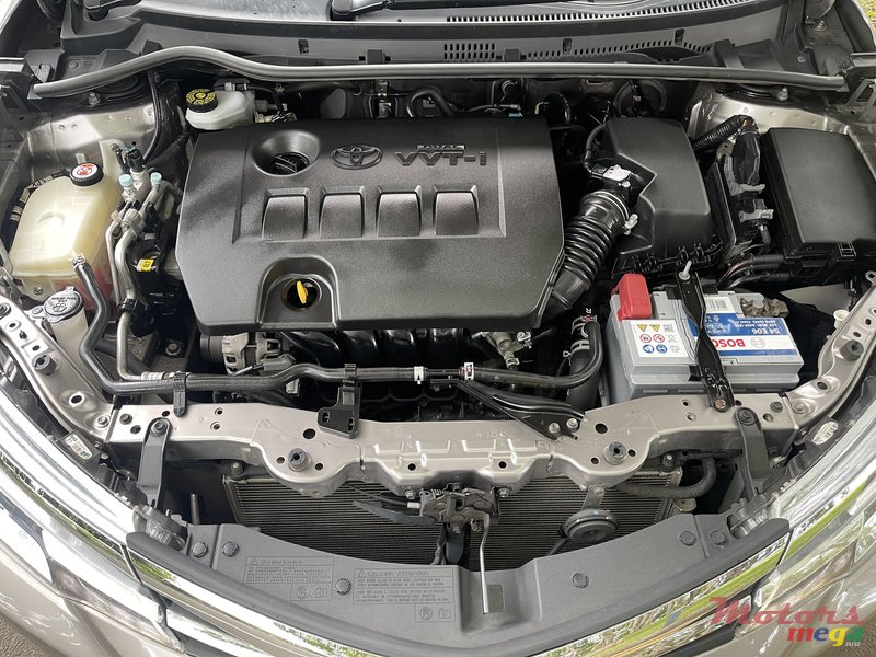 2019' Toyota Corolla photo #6
