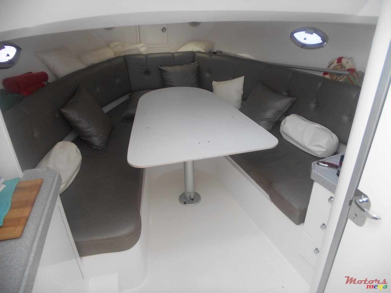 2011' Evinrude photo #4