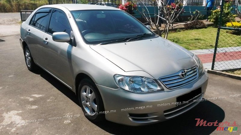 2001' Toyota Corolla NZE photo #1