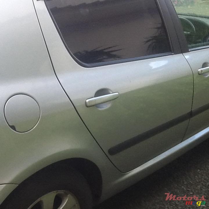 2005' Peugeot 307 photo #7