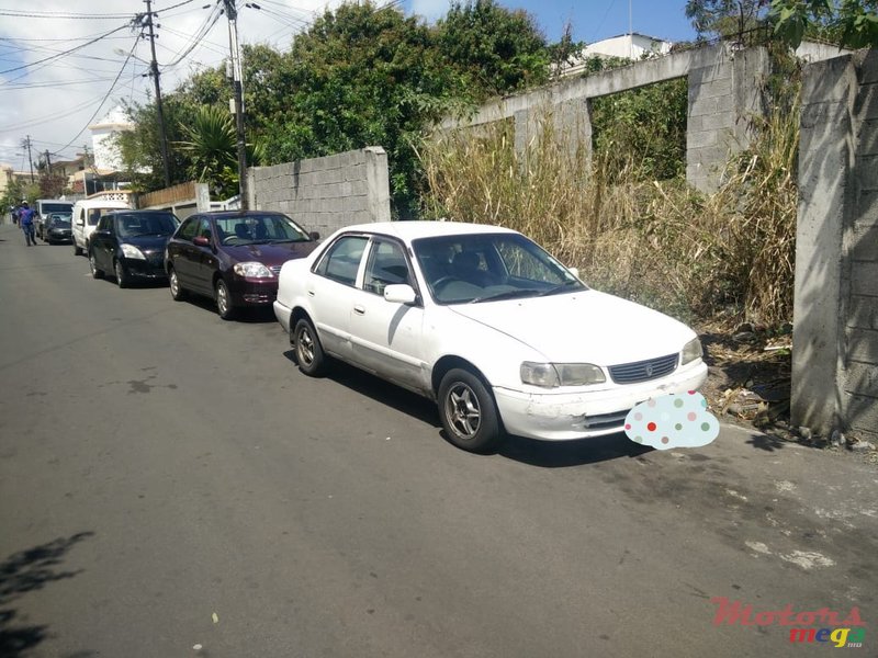 1998' Toyota Corolla photo #1