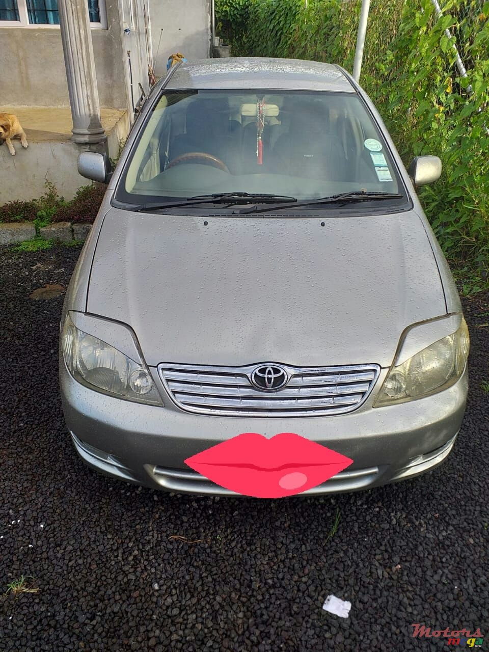 2003' Toyota Corolla photo #2